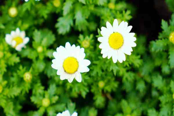 中华环境保护基金会支持中国OECMs实践