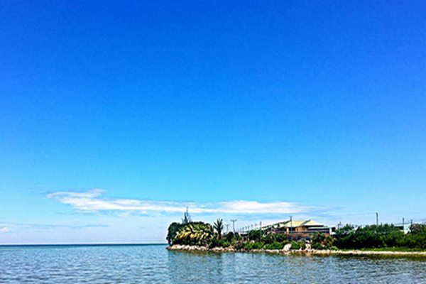 李强主持召开国务院常务会议 听取推动高质